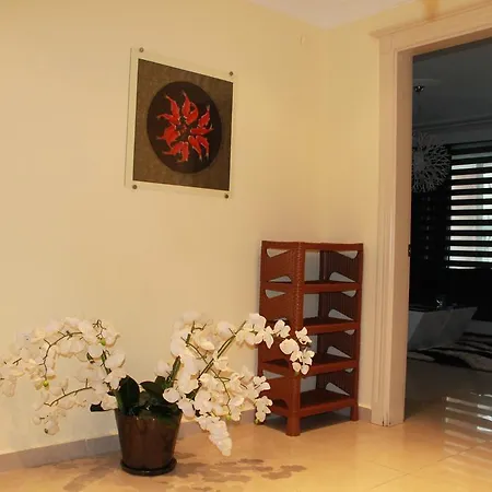 Toros Cekic Apartamento